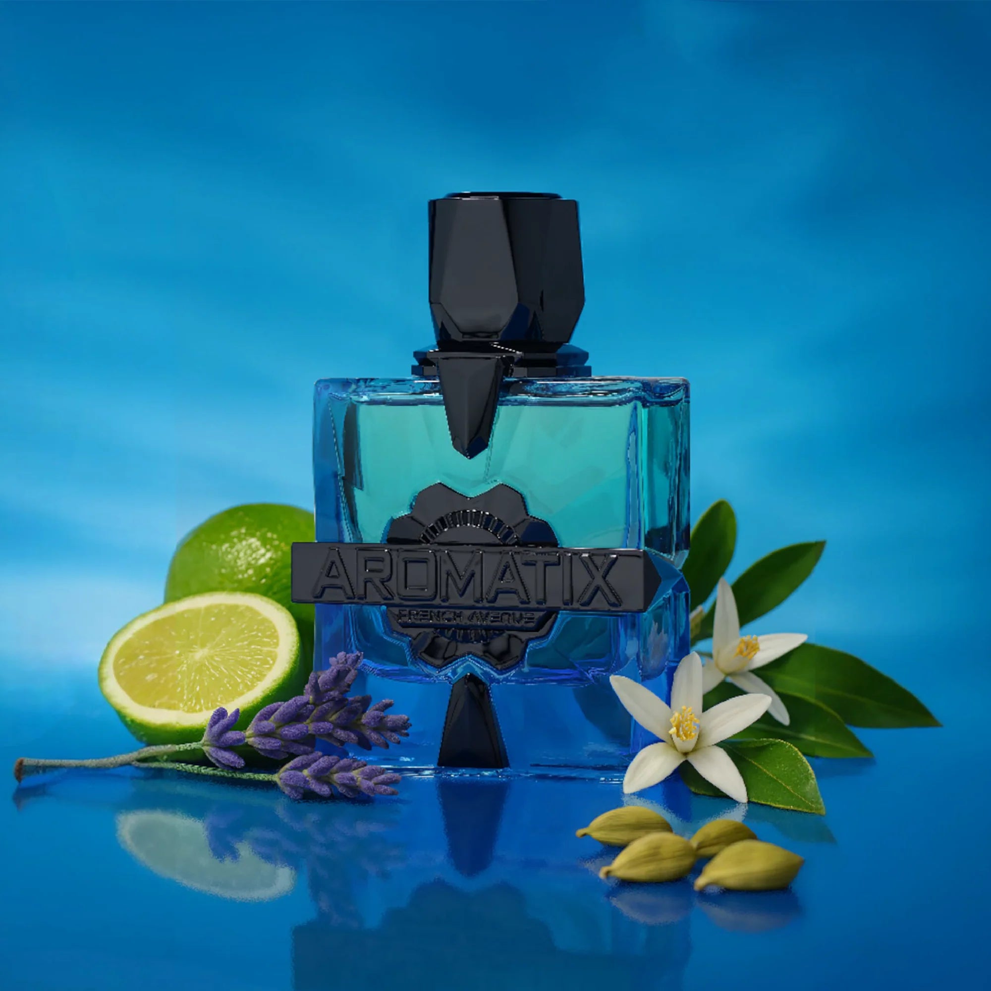 French Avenue Aromatix Magnetiq EDP 100 ML